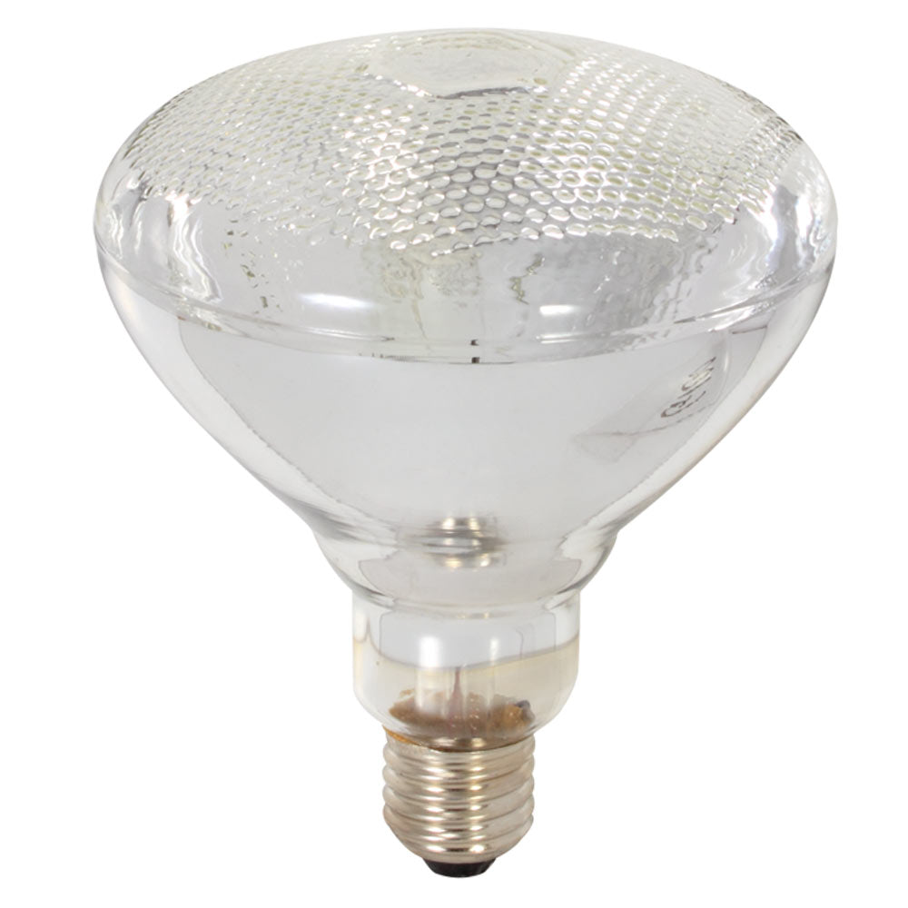 Eurolux E27 150W PAR38 Floodlight Incandescent Bulb