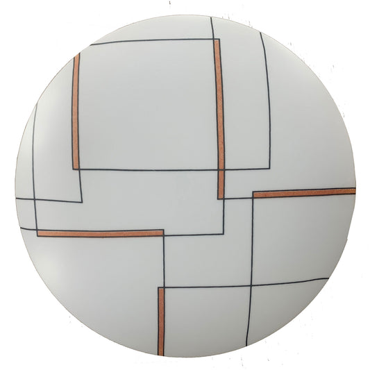 Starlit 24W LED Plastic Ceiling Light - C503